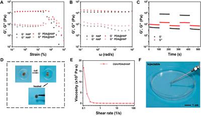 Gallic acid-grafted chitosan antibacterial hydrogel incorporated with polydopamine-modified hydroxyapatite for enhancing bone healing